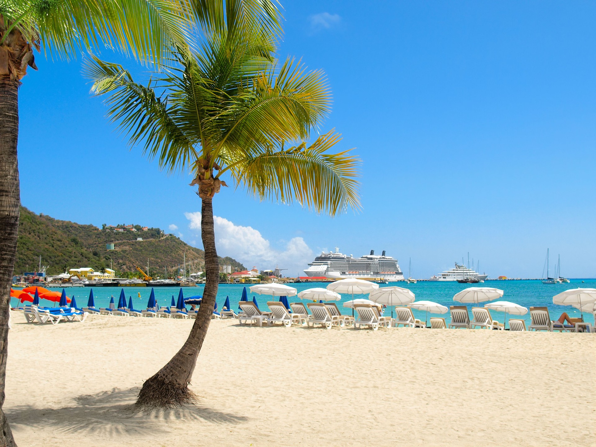 Beach with Palm Tree
